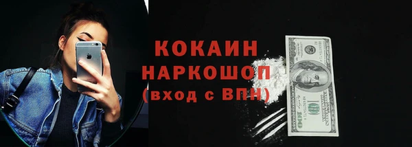 гидра Абаза