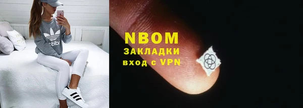 гидра Абаза