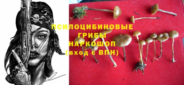 jwh Саяногорск