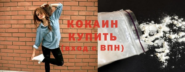 гидра Абаза