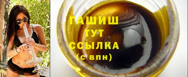 гидра Абаза