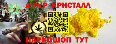 гашик Новозыбков