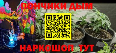 метадон Новодвинск