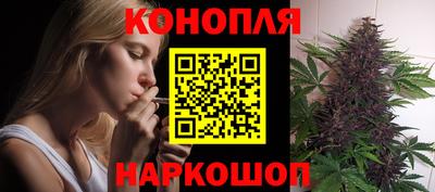 гашик Новозыбков