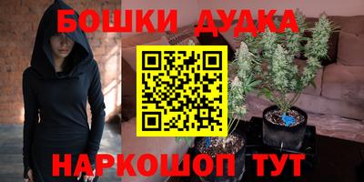 гашик Новозыбков