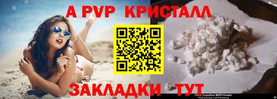 гашик Новозыбков