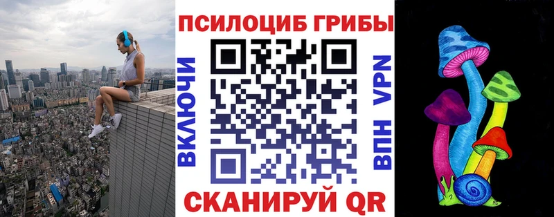 цены наркотик  Аксай  блэк спрут ССЫЛКА  Псилоцибиновые грибы Psilocybe 