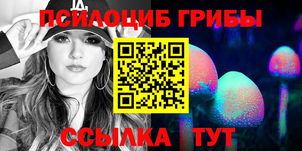 Галлюциногенные грибы Psilocybe Аксай