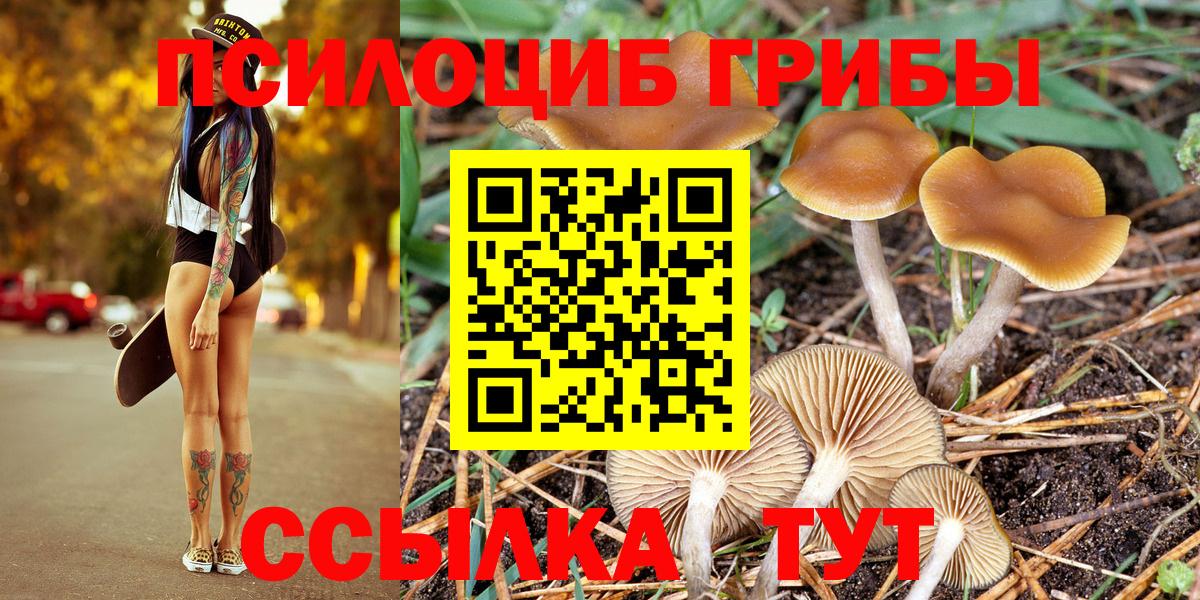 Аксай  Галлюциногенные грибы ЛСД  Галлюциногенные грибы MAGIC MUSHROOMS  Вход с VPN 